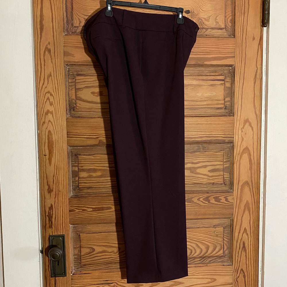 Beautiful Raisin Alfani Pant NWOT!